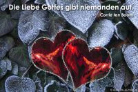 Die Liebe Gottes gibt niemanden auf. (Corrie ten Boom)