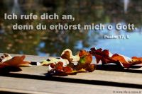 Ich rufe dich an, denn du erhörst mich o Gott. (Psalm 17,6)
