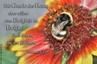 Die Gnade des Herrn aber währt von Ewigkeit zu Ewigkeit über denen, die ihn fürchten. (Psalm 103,17)
