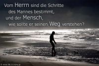 Vom HERRN sind die Schritte des Mannes bestimmt; und der Mensch, wie sollte er seinen Weg verstehen? (Sprüche 20,24)