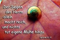 Der Segen des HERRN alleine macht reich, und nichts tut eigene Mühe hinzu. (Sprüche 10,22)