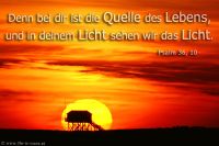 Denn bei dir ist die Quelle des Lebens, und in deinem Licht sehen wir das Licht. (Psalm 36,10)