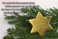 Da ward sein Name gennant Jesus, welcher genannt war von dem Engel, ehe denn er im Mutterleibe empfangen ward. (Weihnachten) (Lukas 2,21)