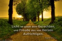 Licht ist gesät dem Gerechten, und Freude den von Herzen Aufrichtigen. (Psalm 97,11)
