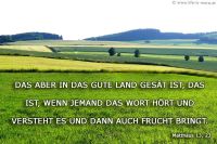 Das aber in das gute Land gesät ist, das ist, wenn jemand das Wort hört und es versteht es und dann auch Frucht bring. (Matthäus 13,23)