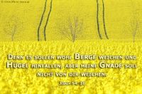 Denn es sollen wohl Berge weichen und Hügel hinfallen, aber meine Gnade soll nicht von dir weichen. (Jesaja 54,10)