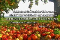 Gelobet sei Gott und der Vater unsers HERRN Jesu Christi, der uns gesegnet hat mit allerlei geistlichem Segen in himmlischen Gütern durch Christum. (Epheser 1,3)