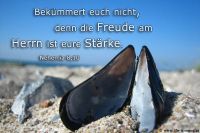 Bekümmert euch nicht, denn die Freude am Herrn ist eure Stärke. (Nehemia 8,10)