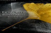 Er hat alles wohlgemacht. (Markus 7,37)