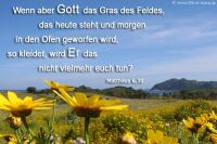 Wenn aber Gott das Gras des Feldes, das heute steht und morgen in den Ofen geworfen wird, so kleidet, wird Er das nicht vielmehr euch tun? (Matthäus 6,30)