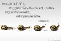 Darum, liebe Brüder, ein jeglicher Mensch sei schnell, zu hören, langsam aber, zu reden, und langsam zum Zorn. (Jakobus 1,19)