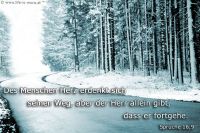 Des Menschen Herz erdenkt sich seinen Weg, aber der Herr allein gibt, dass er fortgehe. (Sprüche 16,9)