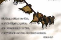 Die Berge zittern vor ihm, und die Hügel zergehen, das Erdreich bebt vor ihm, der Weltkreis und alle, die darauf wohnen. (Nahum 1,5)