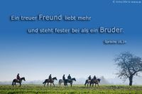 Ein treuer Freund liebt mehr und steht fester bei als ein Bruder. (Sprüche 18,24)