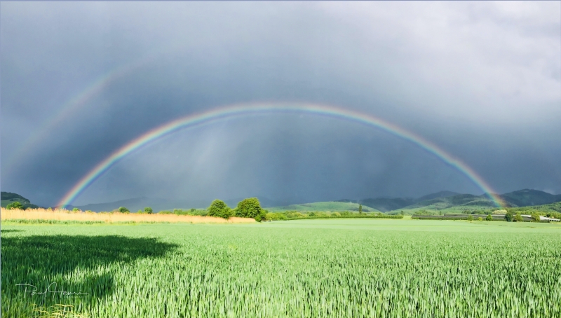 Regenbogen