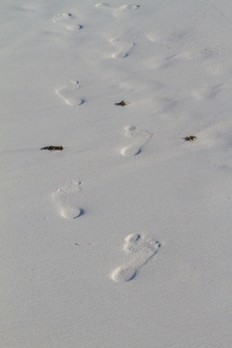 Spuren im Sand