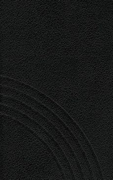 Liederbuch: Evangelisches Kirchengesangbuch (EKG): Regionalteil Mecklenburg, Sachsen und Thüringen