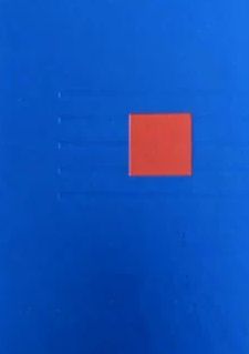 Liederbuch: Mennonitisches Gesangbuch